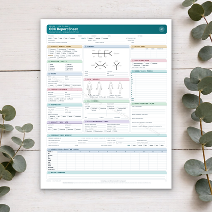 CCU Report Sheet — Single Patient, 1-Page Compact | Coronary Care Nurse Brain Sheet Printable PDF